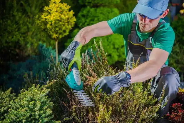 landscaping services Miller Place